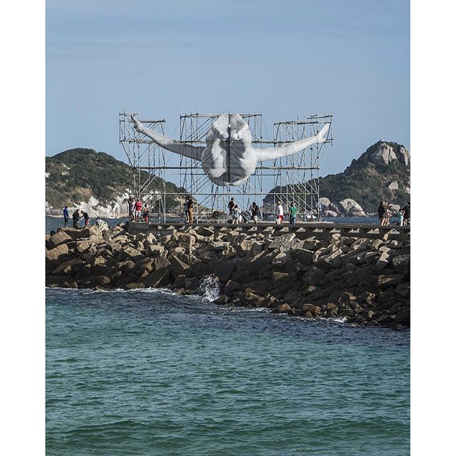 13671149_1799426786967730_647806874_n