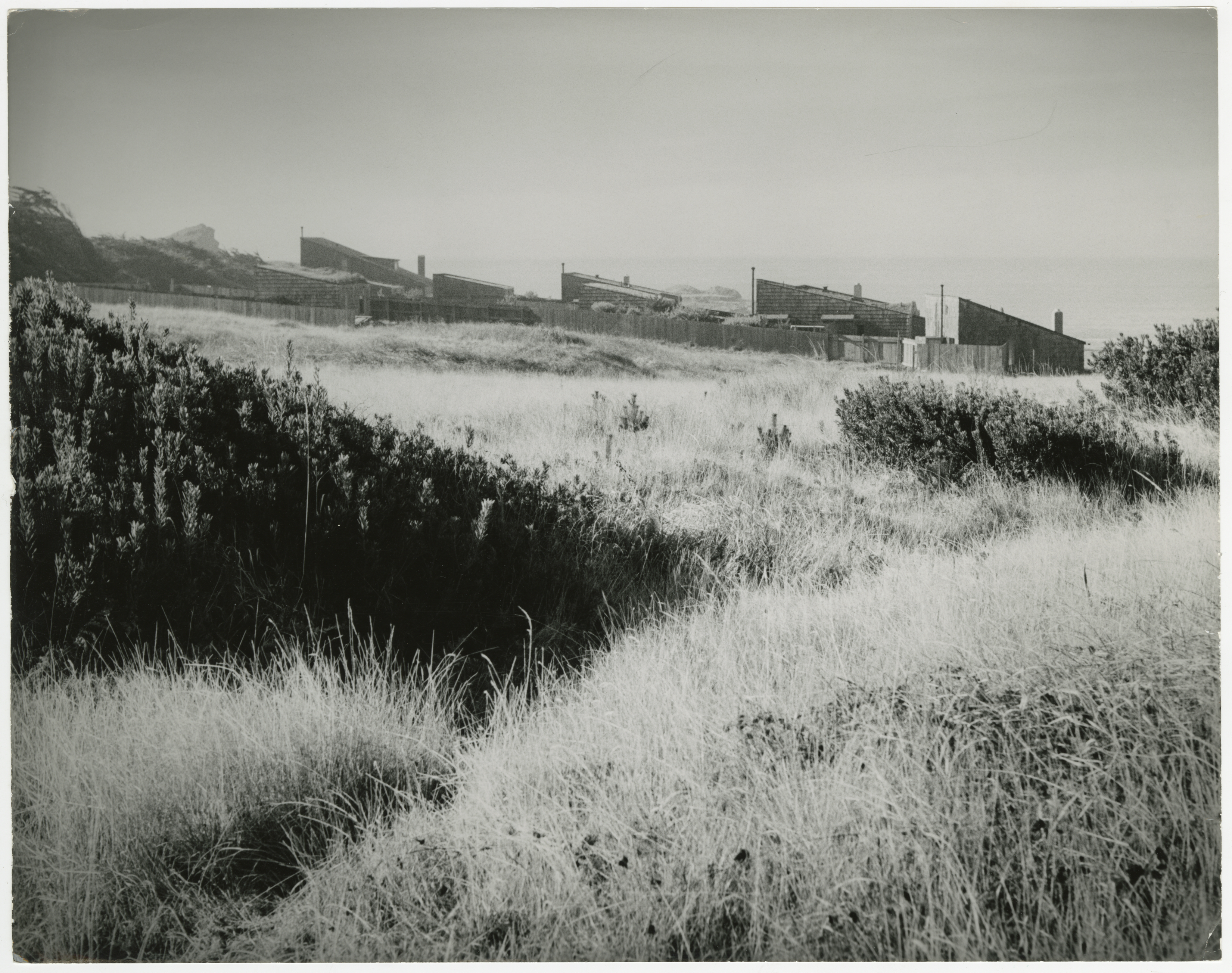 16 Homsey_HedgerowHouses_MeadowView