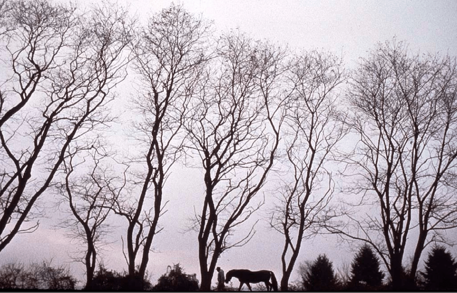 Screen Shot 2020-02-12 at 4.13.14 PM